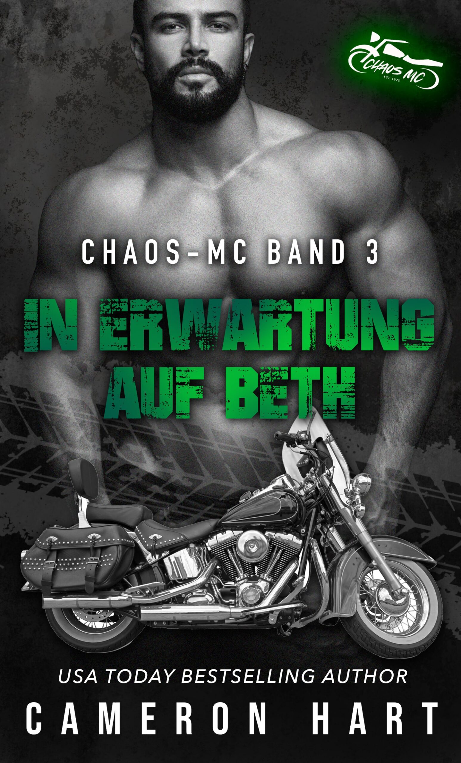 In Erwartung auf Beth (Chaos-MC 3)